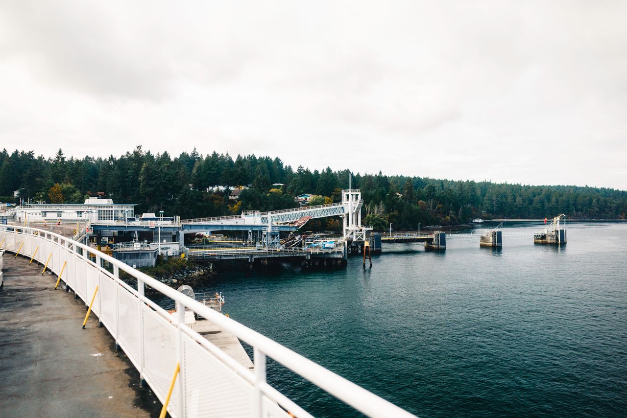 services-04 Explore the serene ferry dock surrounded by lush forests in Tofino, British Columbia.
