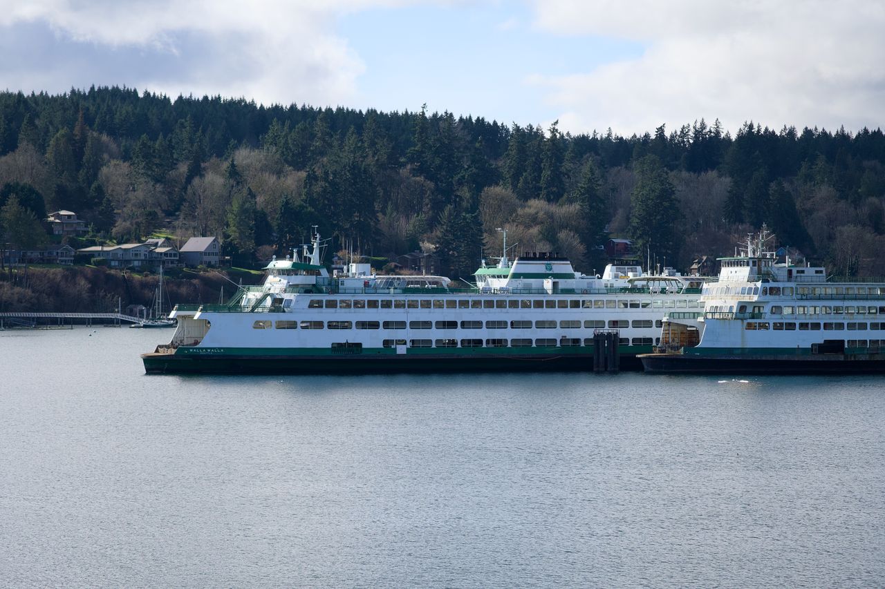 Scenic view of ferries docked at Bainbridge Island, surrounded by lush forests on a clear day.