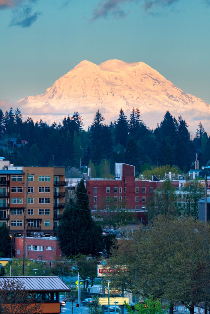 services-img A beautiful snow-capped mountain towering over a vibrant cityscape with lush trees.